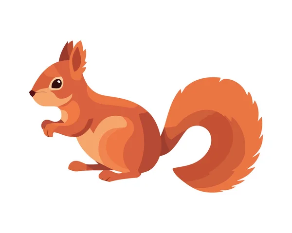 Squirrel Cute Rodent Sitting Autumn Animal Isolated — Stock Vector