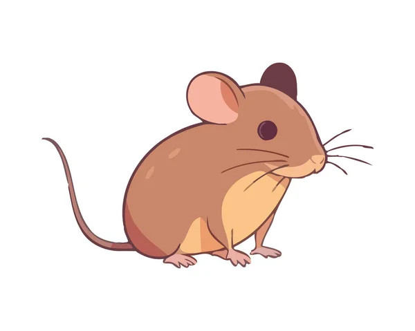Flauschige Maus Mit Niedlichen Schnurrhaaren — Stockvektor