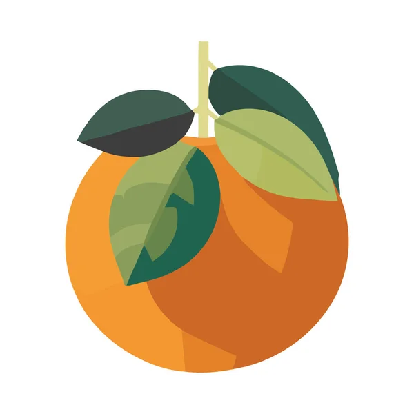 Obst Symbolisiert Gesunde Ernährung — Stockvektor