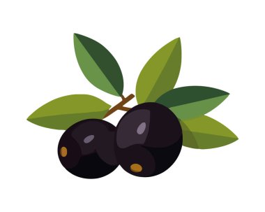 Taze yeşil dal simgesinde taze zeytinler izole edildi