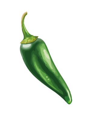 Taze organik sebzeler, olgun ve sağlıklı yeme ikonu izole edilmiş.