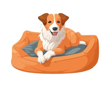 Şirin safkan köpek yavrusu oturuyor, mutlu bir ikon izole edilmiş.