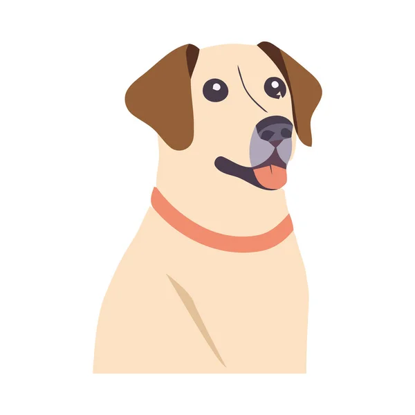 Lindo Cachorro Sentado Sonriente Amigo Leal Para Siempre Icono Aislado — Archivo Imágenes Vectoriales