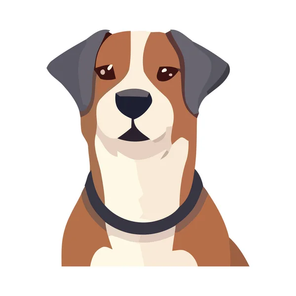 Lindo Cachorro Sentado Mirando Propietarios Collar Icono Aislado — Vector de stock