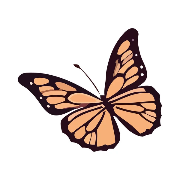Lebendige Schmetterling Auf Weißem Hintergrund Symbol Isoliert — Stockvektor