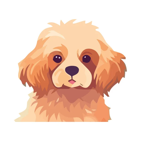 Пухнастий Померанський Собака Весела Мила Ікона Ізольована — стоковий вектор