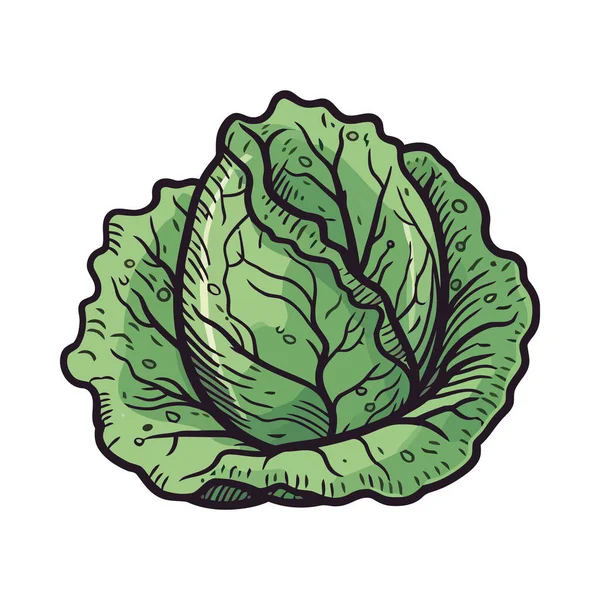 Salade Légumes Frais Bio Icône Illustration Isolée — Image vectorielle