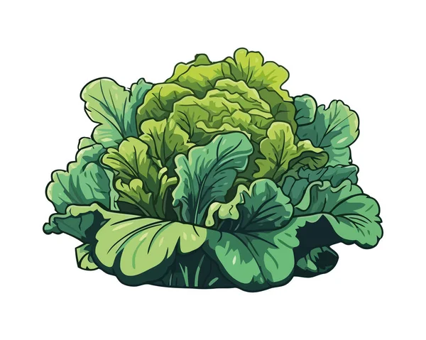 Friss Bio Zöldségsaláta Egészséges Étkezési Szimbólum Ikon Izolálva — Stock Vector