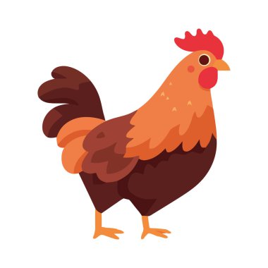 Rooster stands, a symbol of agriculture and livestock icon isolated clipart