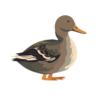 Gölet ikonunun yanında vaklayan şirin bir ördek yavrusu.