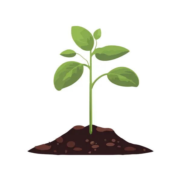Green Plant Growth New Life Nature Environment Icon Isolated — Stock Vector