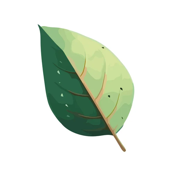 Grünes Blatt Symbolisiert Wachstum Und Frische Der Natur — Stockvektor