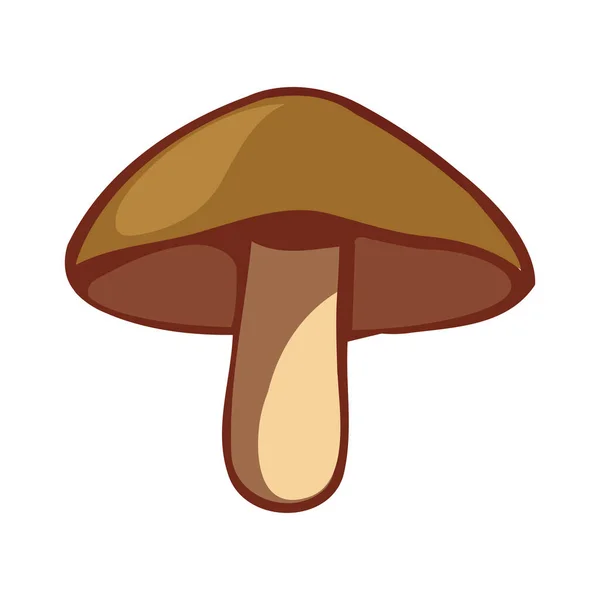 秋林可食蘑菇 图标隔离 — 图库矢量图片