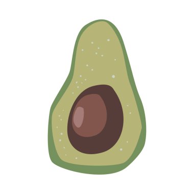 fresh half avocado vegetable icon