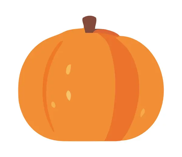 Fresh Pumpkin Vegetable Icon Design Isolated — Stock Vector
