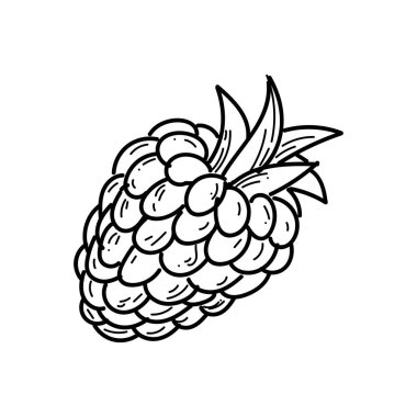 renksiz ananas çizim vektörü izole edildi