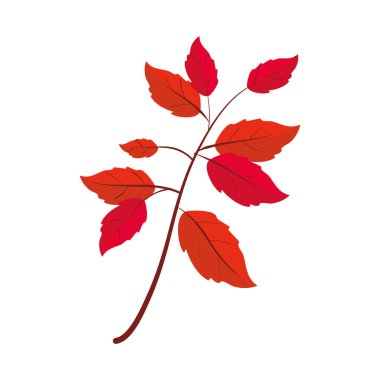 sonbahar yaprakları dal vektörü izole