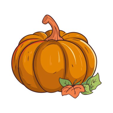 Taze balkabağı sonbahar hasat ikonu izole edilmiş.