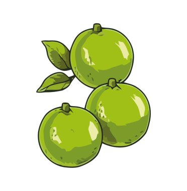 Sulu, organik meyve turunçgil limon ikonu izole