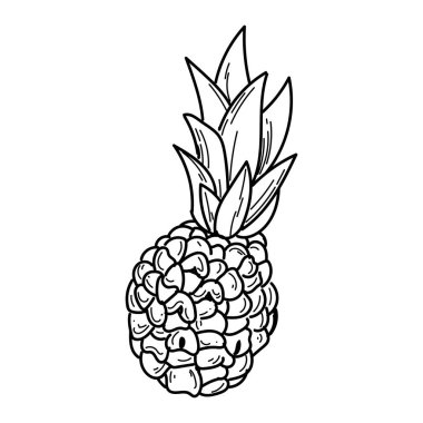renksiz ananas tasarımı vektörü izole edildi