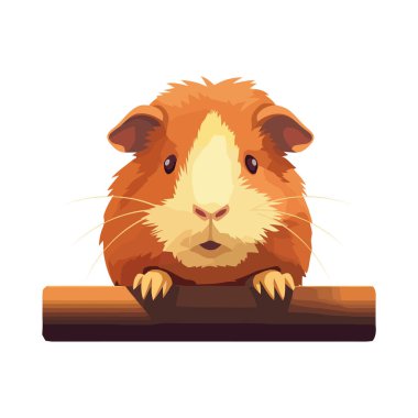 Tahtanın üzerinde oturan tüylü kobay, tapılası ve küçük ikon izole