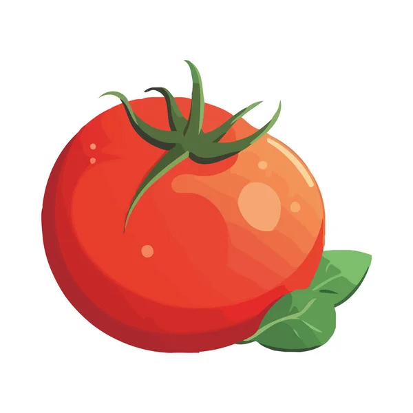 Fresh Tomato Ripe Vegetable Eating Icon Isolated — Stock Vector