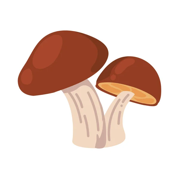 Brown Mushrooms Design Vector Isolated — Stock Vector