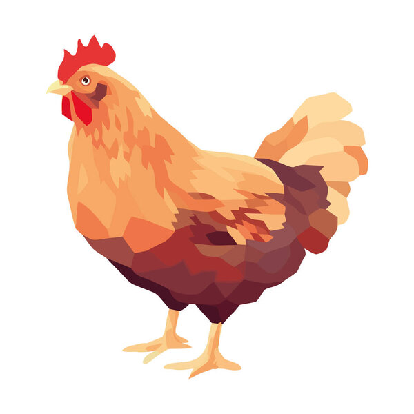 Rooster bird farm, poultry nature icon isolated