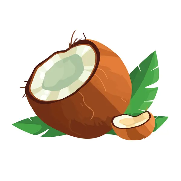 신선한 코코넛 아이콘 — 스톡 벡터