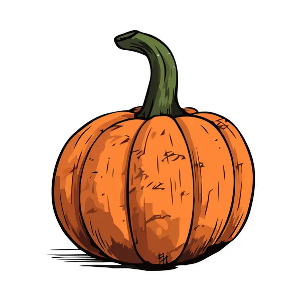 Abóbora Madura Simboliza Celebração Halloween Ícone Outono Isolado — Vetor de Stock