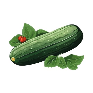 Taze salatalık sebzesi, sağlıklı beslenme ikonu izole edilmiş.