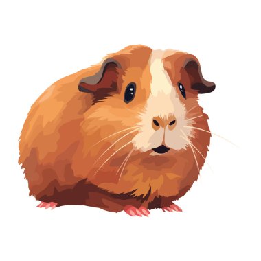 Şirin küçük Gine domuzu, tüylü ve tüylü ikon izole edilmiş.