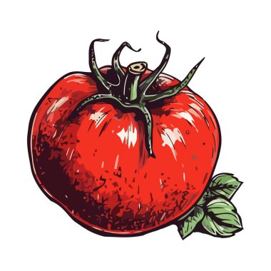 Taze organik domates, izole edilmiş ikon yemek için olgun sebze.