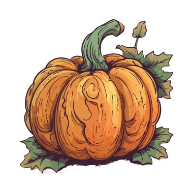 Sonbahar sebze hasadı balkabağı ve yaprak ikonu izole edildi