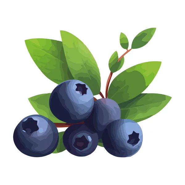 Freshness Nature Bounty Ripe Juicy Blueberry Icon Isolated — Stock Vector