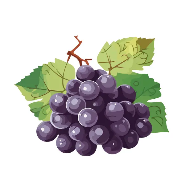 Juicy Grapes Leafy Bunch Illustration Icon Isolated — Stock Vector