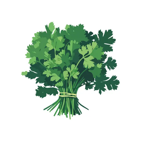 Świeżość Warzyw Ekologicznych Ikona Zdrowego Żywienia Izolowana — Wektor stockowy