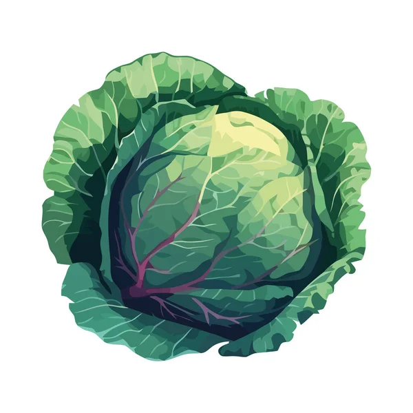 Verdure Fresche Biologiche Pasto Salutare Vegetariano Icona Alimentare Isolato — Vettoriale Stock