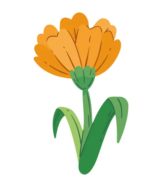 Жовтий Квітковий Дизайн Вектор Ізольований — стоковий вектор