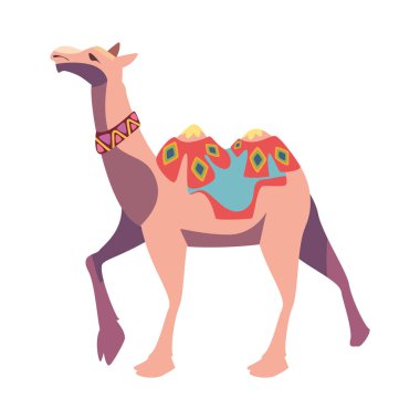 bikaner deve festivali alayı izole edildi