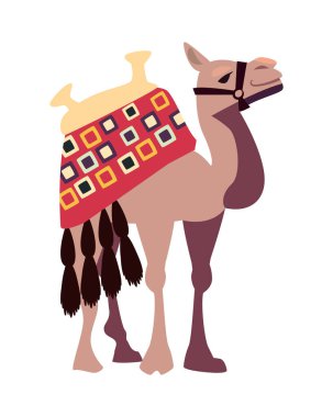 bikaner deve festivali geleneksel Hintli izole