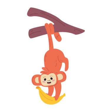 Ağaca asılmış şirin maymun.