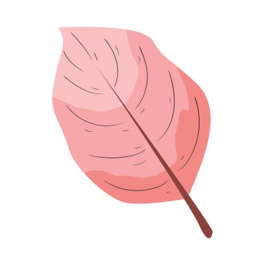 Yaprak doğa ögesi izole edilmiş simge