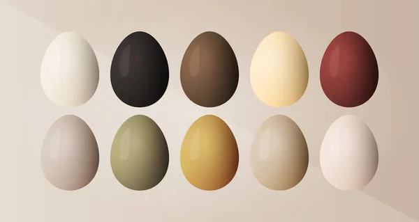 Elegant Easter Eggs Neutral Warm Tones Realistic Vector Set — Stok Vektör