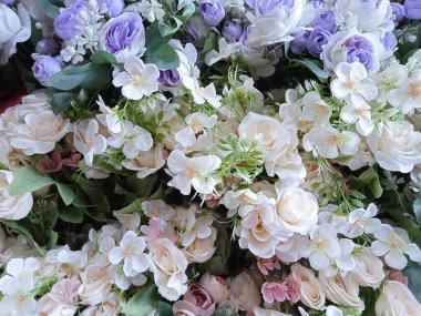 Güzel çok renkli çiçek, üst manzara