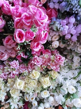 Güzel çok renkli çiçek, üst manzara