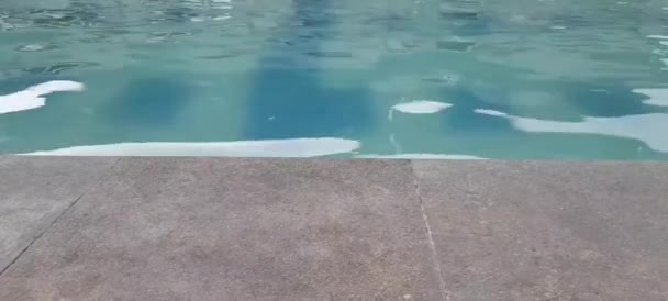 Yüzme Havuzu Dalgalanması — Stok video