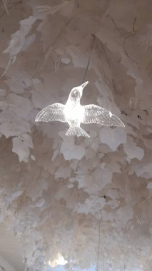 Güvercinler. Aşkın ve evliliğin sembolü.