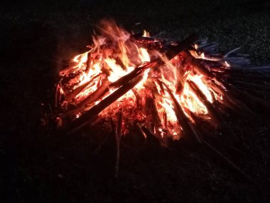 Gece kamp ateşi. Yazın vahşi doğayı keşfediyorum.
