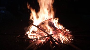 Gece kamp ateşi. Yazın vahşi doğayı keşfediyorum.